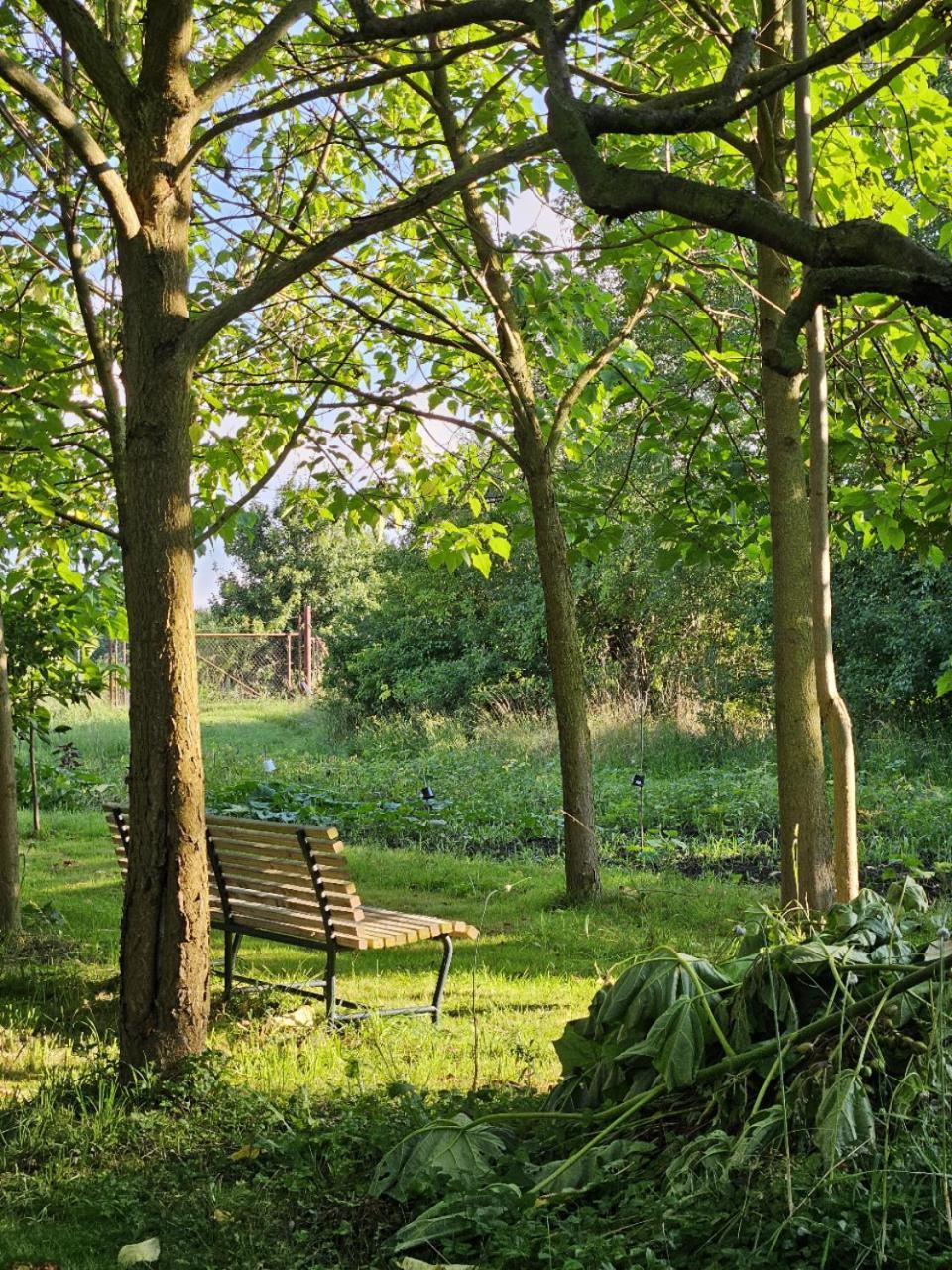 Gartenhaus Schlanstedt Huy Exterior foto